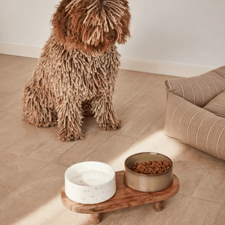 Ciotole e mangiatoie - INTERIOR DREAM DESIGN