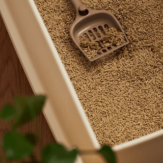 Pulizia per animali domestici - INTERIOR DREAM DESIGN