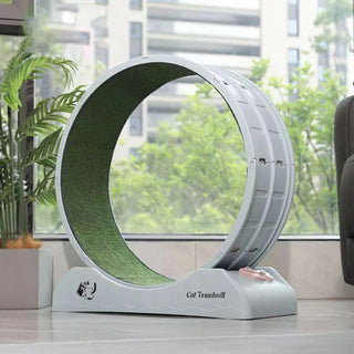 A7e261391e6ce468e9454dc82798af5a6S