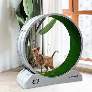 Acf3033850b534dc0a200ae0db11caba47