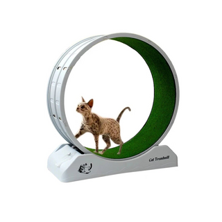 Ruota Silenziosa Tiragraffi Gioco Tapis Roulant Gatti Animali Domestici Colore Grigio