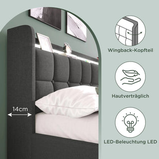 Base Letto Matrimoniale Imbottita Con Cassettiera Luci Illuminazione LED Struttura Doghe Ricarica USB 4 Cassetti Accessori Casa Camera Letto - INTERIOR DREAM DESIGN