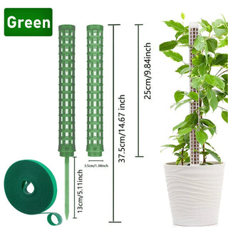 Bastone Supporto Pianta Rampicante Colonna Composizione Floreale Decorazione Giardino-INTERIOR DREAM DESIGN