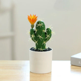 Cactus Artificiali Plastica Piante Decorazione Piccole Dimensioni Interni Arredamento Vaso Arredo - INTERIOR DREAM DESIGN