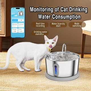 Dispenser Acqua Argento Acciaio Inossidabile Capacità 4 Litri Accessori Animali Domestici Cibo-INTERIOR DREAM DESIGN