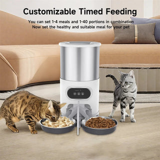 Dispenser Automatico Due Fori Ciotole Cibo Acciaio Capacità 4,5L Colore Bianco Argento-INTERIOR DREAM DESIGN