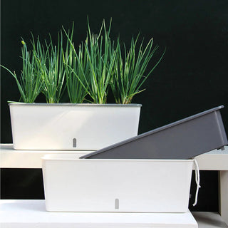 Fioriera Colore Bianco Autoirrigante Comoda Acqua Plastica Resistente Doppio Fondo Esterno Giardino - INTERIOR DREAM DESIGN