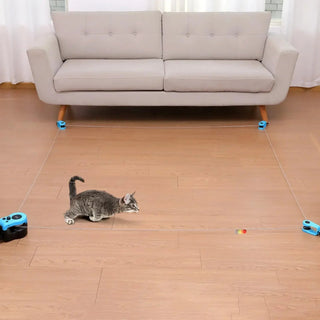Giochi Interattivi Velocità Animali Domestici Cane Gatto Elettronico Colore Blu Rosa - INTERIOR DREAM DESIGN