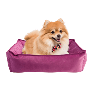 Letto Animali Domestici Diverse Colorazioni Divano Schiuma Letto Copertura Lavabile Rimovibile Impermeabile - INTERIOR DREAM DESIGN