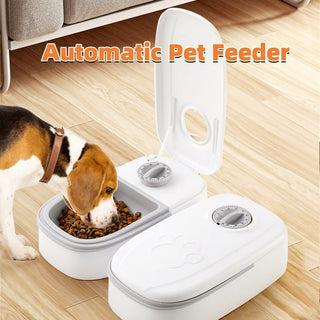Mangiatoia Automatica Cani Gatti Timer Ciotola Acciaio Inox - INTERIOR DREAM DESIGN