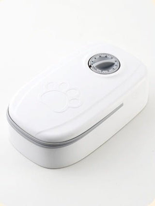 Mangiatoia Automatica Cani Gatti Timer Ciotola Acciaio Inox - INTERIOR DREAM DESIGN