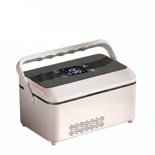 Mini Frigorifero Portatile Doppio Uso Auto Casa Alimentato USB - INTERIOR DREAM DESIGN