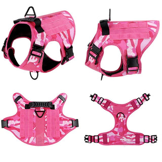 Pettorina Guinzaglio Cani Set Gilet Regolabile Animali Domestici Materiale Poliestere - INTERIOR DREAM DESIGN