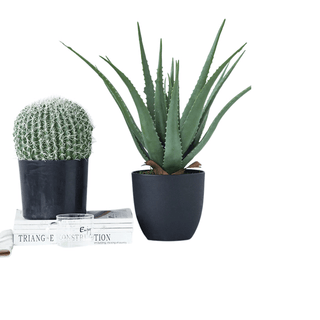 Pianta Artificiale Verde Diverse Dimensioni Decorazione Casa Stile Elegante Innovativa-INTERIOR DREAM DESIGN