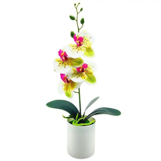 Pianta Finta Orchidea Artificiale Decorazione Ornamento Bonsai Resistente Accessori Arredamento Casa - INTERIOR DREAM DESIGN