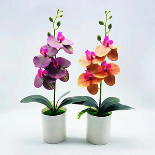 Pianta Finta Orchidea Artificiale Decorazione Ornamento Bonsai Resistente Accessori Arredamento Casa - INTERIOR DREAM DESIGN