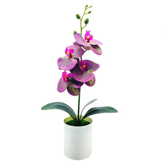 Pianta Finta Orchidea Artificiale Decorazione Ornamento Bonsai Resistente Accessori Arredamento Casa - INTERIOR DREAM DESIGN