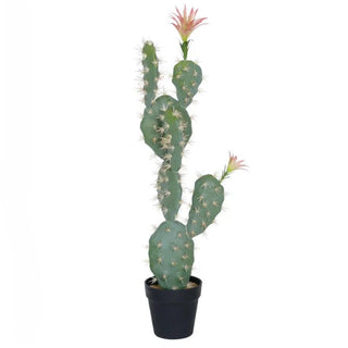 Piante Artificiali Cactus Decorazione Casa Flora Verde Diversi Modelli Stilose Eleganti-INTERIOR DREAM DESIGN