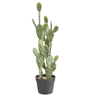 Piante Artificiali Cactus Decorazione Casa Flora Verde Diversi Modelli Stilose Eleganti-INTERIOR DREAM DESIGN