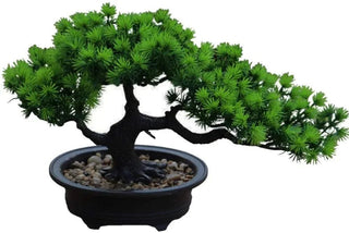 Piccolo Bonsai Per Arredo Casa In Colore Verde Piccole Dimensioni In Plastica Adatto A Casa Esterno Resistente - INTERIOR DREAM DESIGN