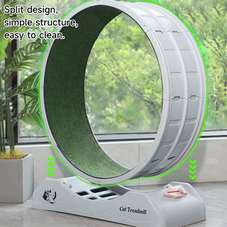 Ruota Silenziosa Tiragraffi Gioco Tapis Roulant Gatti Animali Domestici Colore Grigio - INTERIOR DREAM DESIGN