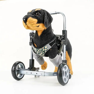 Sedia Rotelle Acciaio Tela Piccole Dimensioni Esterno Cani Animali Domestici Disabili-INTERIOR DREAM DESIGN