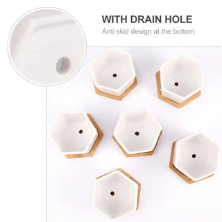 Set 12 Pezzi Vasi Piccole Dimensioni Piante Grasse Colore Bianco Ceramica Legno-INTERIOR DREAM DESIGN