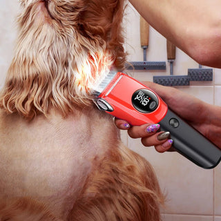 Taglia Pelo Animali Domestici Display Luce LED Tolettatura Animali Domestici - INTERIOR DREAM DESIGN