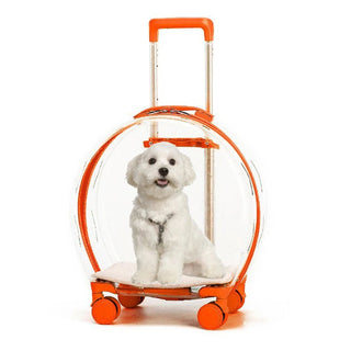 Trasportino Portatile Diversi Colori Cani Gatti Animali Domestici Trasparente Ampio-INTERIOR DREAM DESIGN
