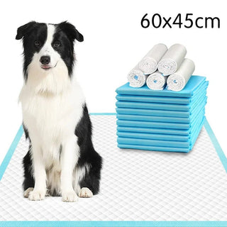 Traversine Animali Domestici Set 100 Pezzi Piccole Dimensioni Pulizia-INTERIOR DREAM DESIGN