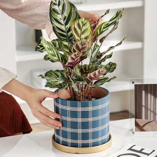 Vaso Ceramica Diversi Colori Forma Rotonda Sottovaso Metallo Oro Design Decorazione Casa-INTERIOR DREAM DESIGN