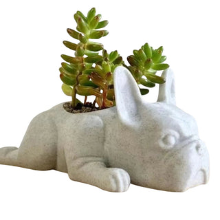 Vaso Design Bulldog Francese Ornamento Decorazione Accessori Decorazioni Esterno - INTERIOR DREAM DESIGN