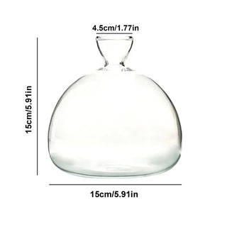 Vaso Trasparente Ampolla Diverse Dimensioni Vetro Piante Semi Coltivazione Decorazione Casa-INTERIOR DREAM DESIGN